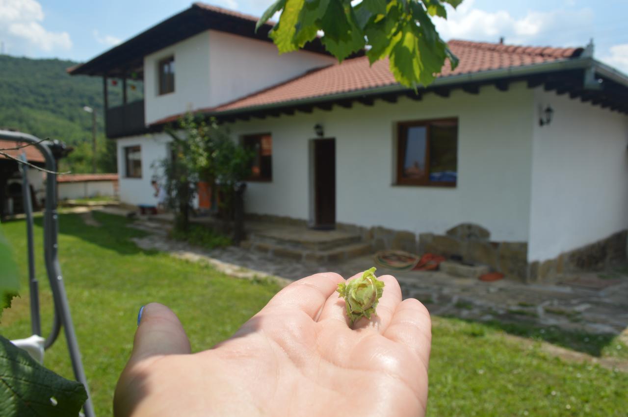 Guest House Yana Tŭrkasheni Eksteriør billede